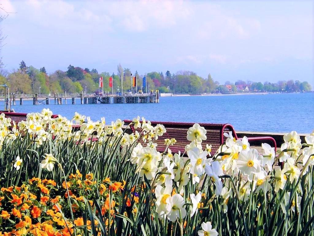 קרסברון אם בודנזי Bodensee Apartment Kressbronn "Seeland" מראה חיצוני תמונה